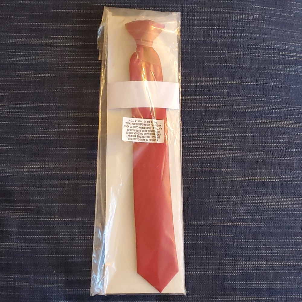 Boy's Clip on Tie